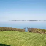 Horsehoved * Fåborg
